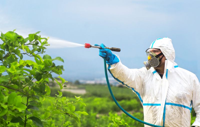 Fumigation Service in Santa Fe, NM
