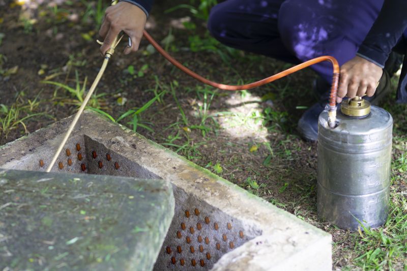 Pest Fumigation Service in Coeur D Alene, ID