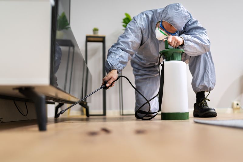 Spider Fumigation Service in Kalamazoo, MI