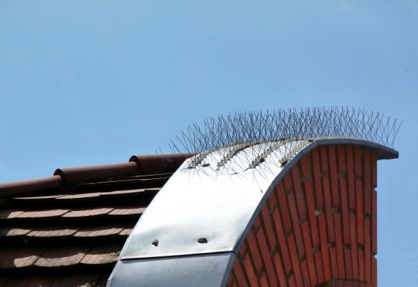 Bird Repellent Service